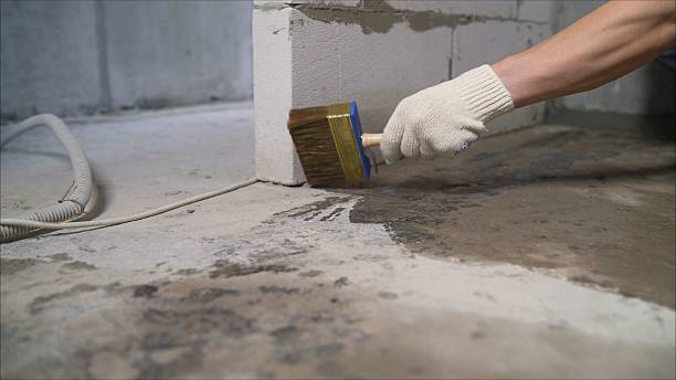 24/7 Emergency Wet Basement Repair experts in Pewamo, MI